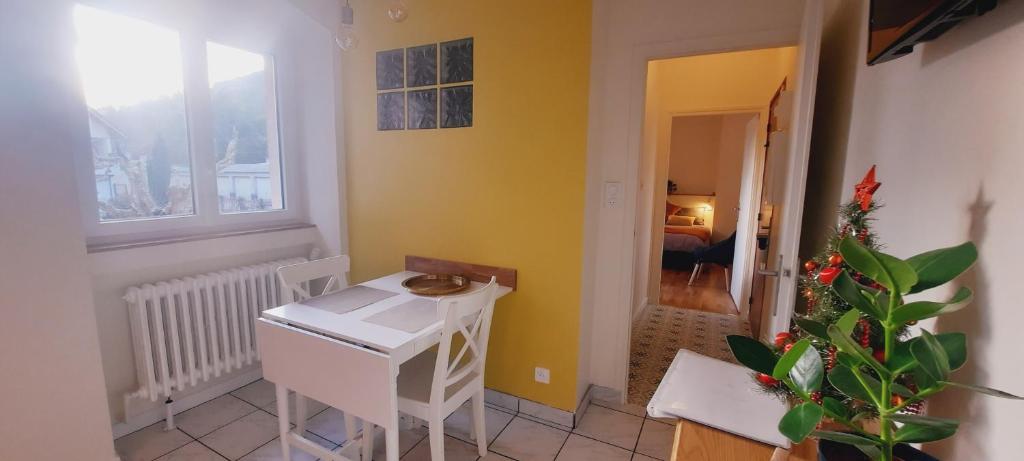 Appartement 3 étoiles au cœur d'Uriage les bains - 4