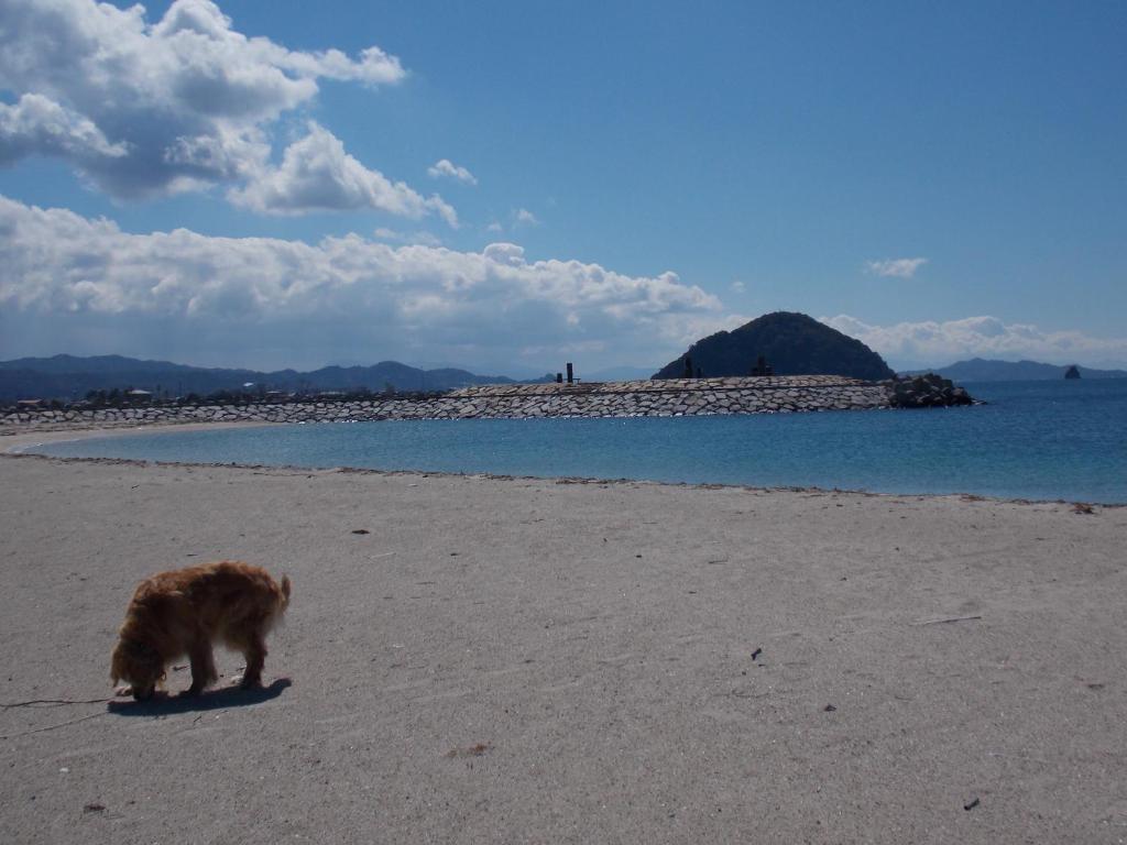 Hojo Suigun Youth Hostel photo