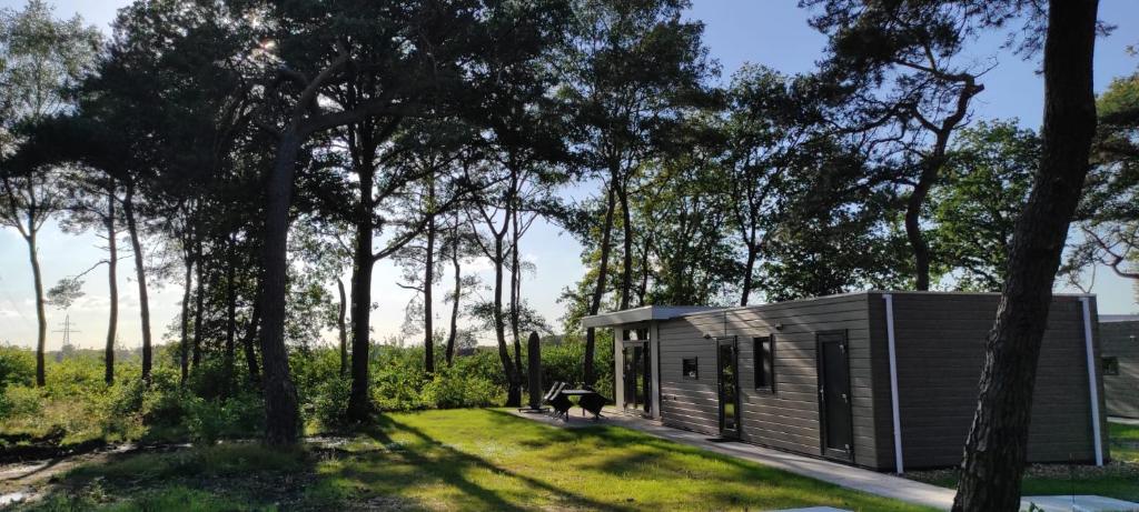 casa bosrust, Haarle