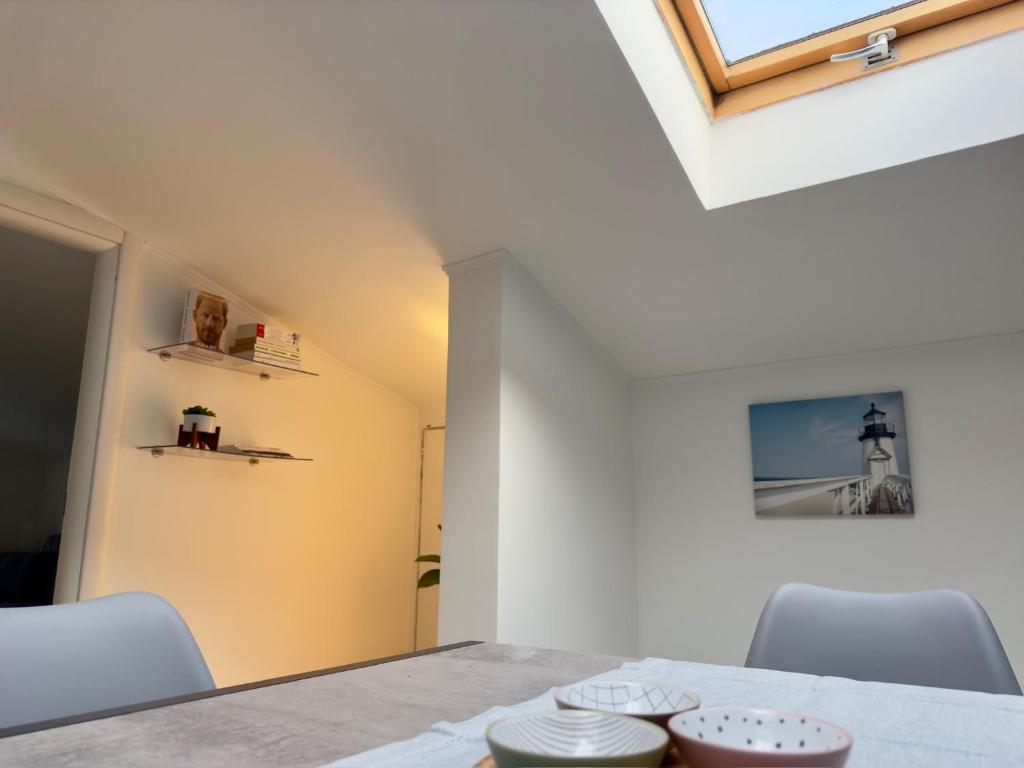 Sealight, Montesilvano