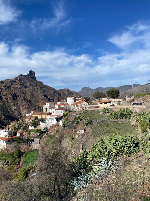 Nature in Tejeda, Tejeda