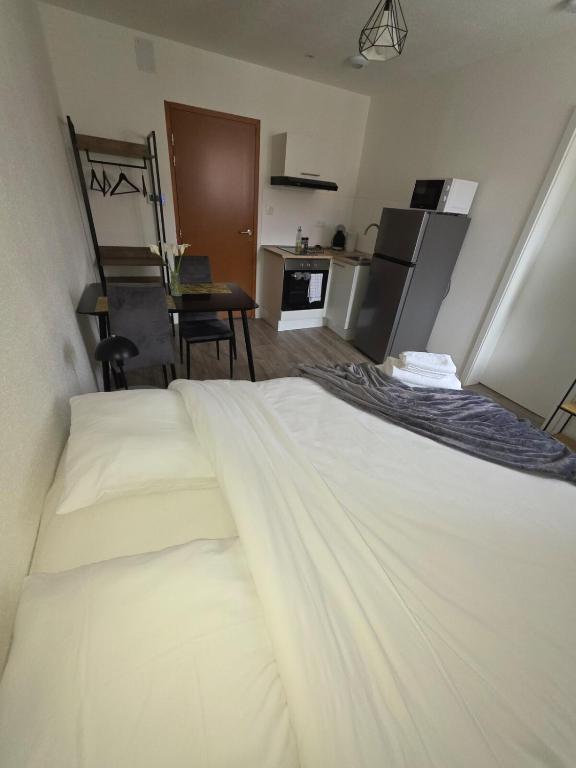 Studio "Cactus" moderne, confortable et au centre ville - 3