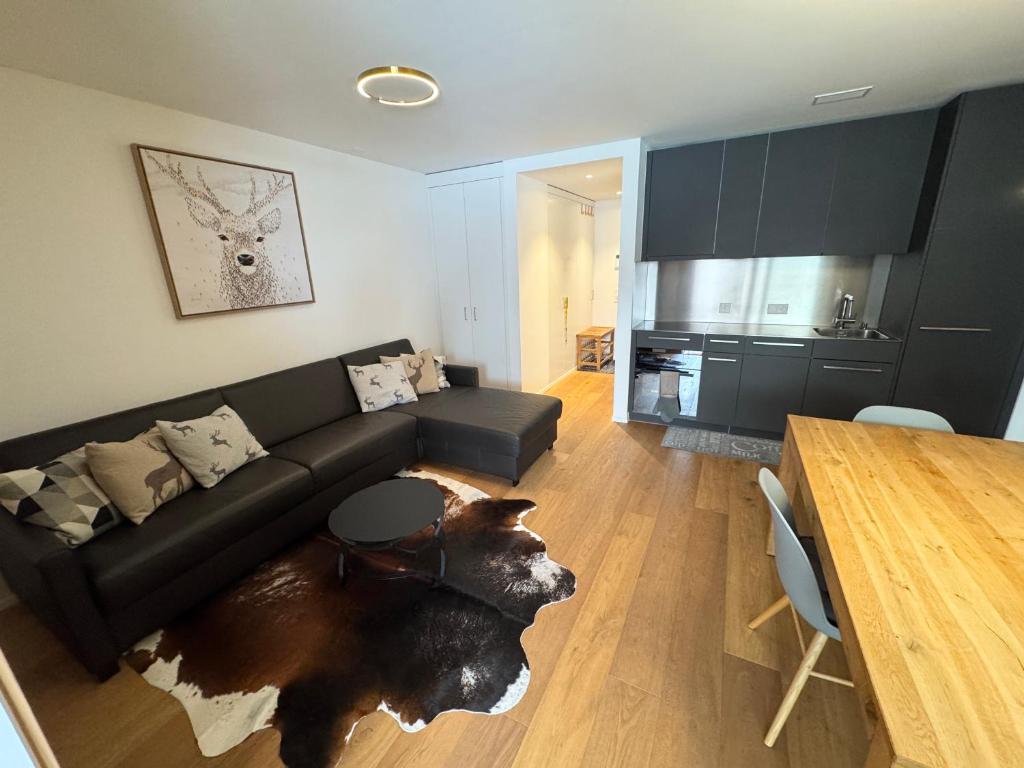 Beautiful Sunny New 1 Bed Apt (2.5Zim). Ski in/out - 2