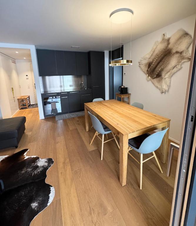 Beautiful Sunny New 1 Bed Apt (2.5Zim). Ski in/out - 3