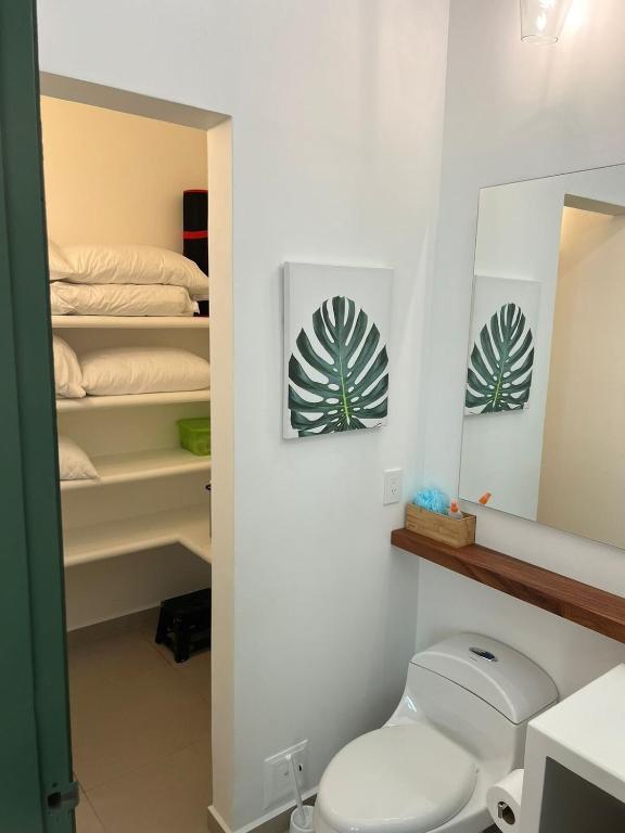 Disponible 4 enero 2026 hasta reyes-PASEOS GRANDES!!!-14 PAX-Hacienda Manantiales Paraíso Natural - 4