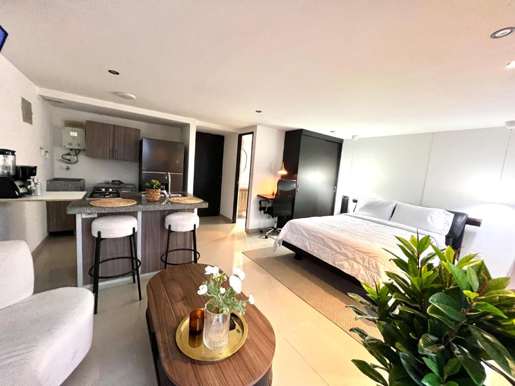 Modern Studio near Oviedo mall - 3