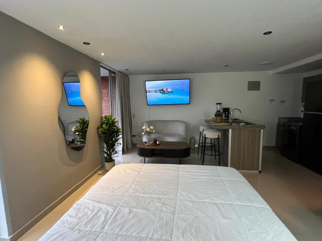 Modern Studio near Oviedo mall - 5