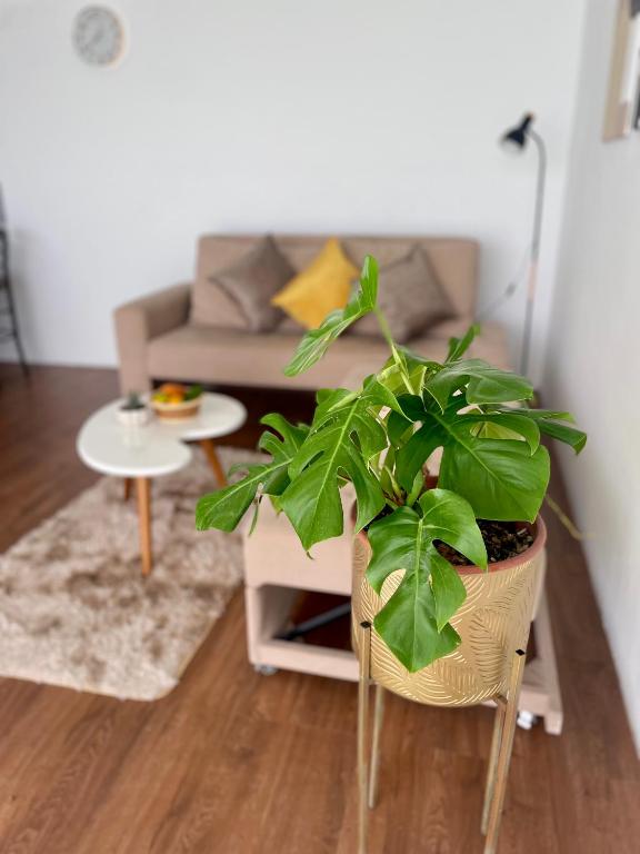 Modern Apartment close to the airport - 4