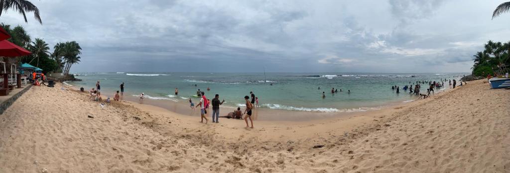 Tranquil Grove, Matara