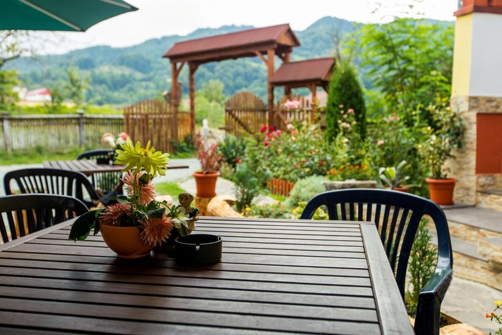 Pension Agnes — Hotel in Viseu de Sus