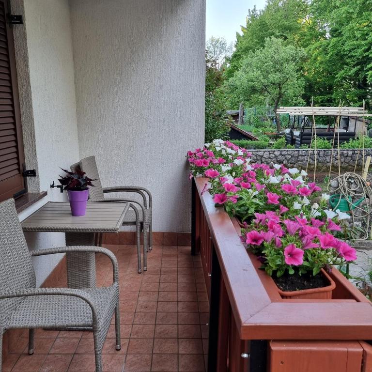 APARTMENT GORDANA A4 2 FOR 6 PAX NATURE PARK 전경