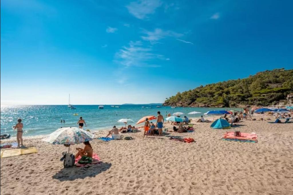 L'Anse de Pramousquier T2 Vue Mer ! Bord de plage - 5