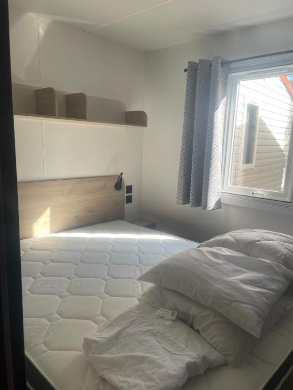 Mobil-home neuf 6 à 8 pers au Camping Les Palmiers, Hyères - 3