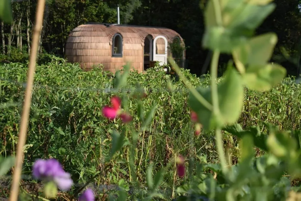 Igloo cabin in Saaremaa, hotel in Kapra