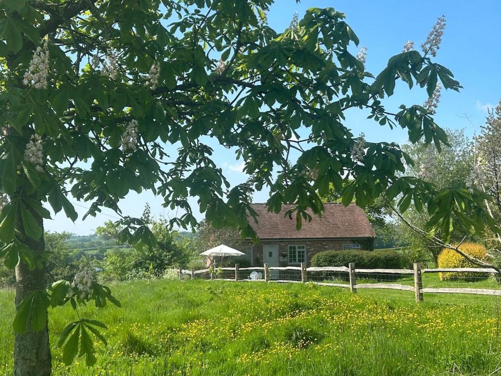 The Piggery, a perfect country hideaway, Crowhurst