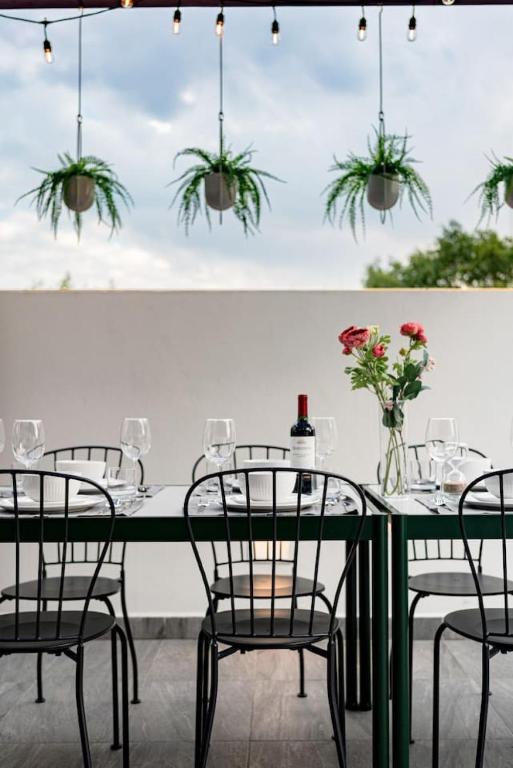 Stylish Home in La Roma Near Top Restaurants and Bars - 5