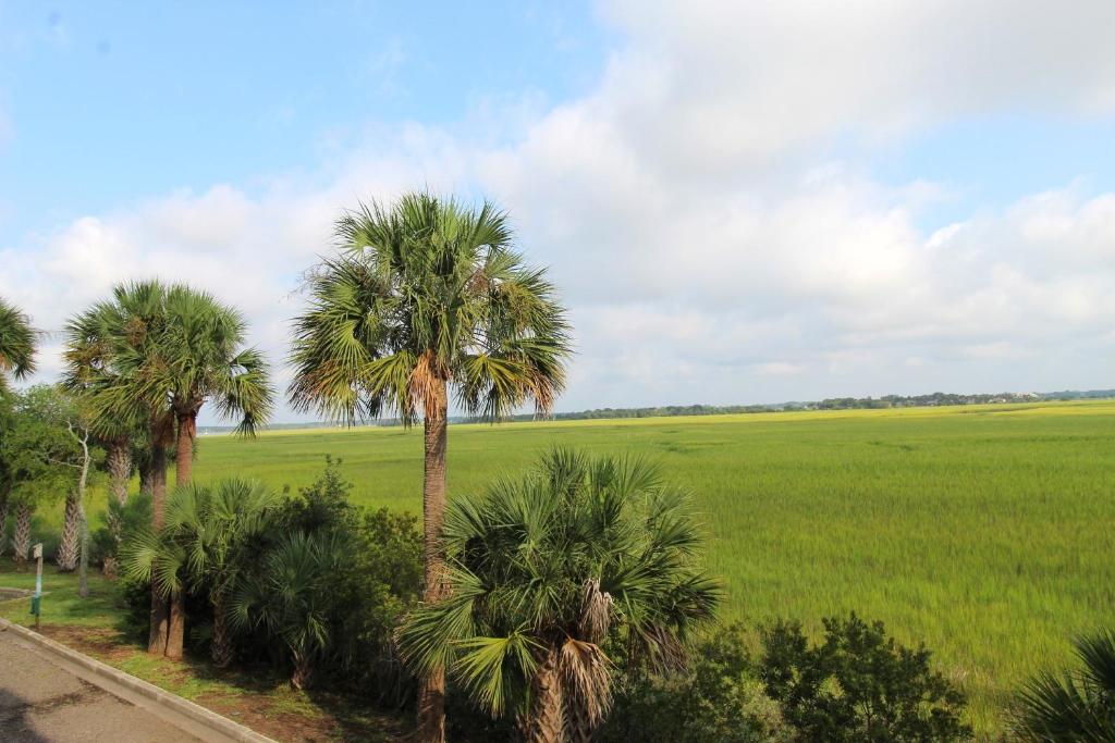 Marsh Nest, Folly Beach