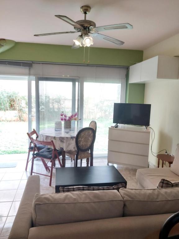 Rafina suits, Rafina