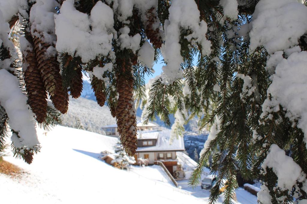 Untertalhof - 4