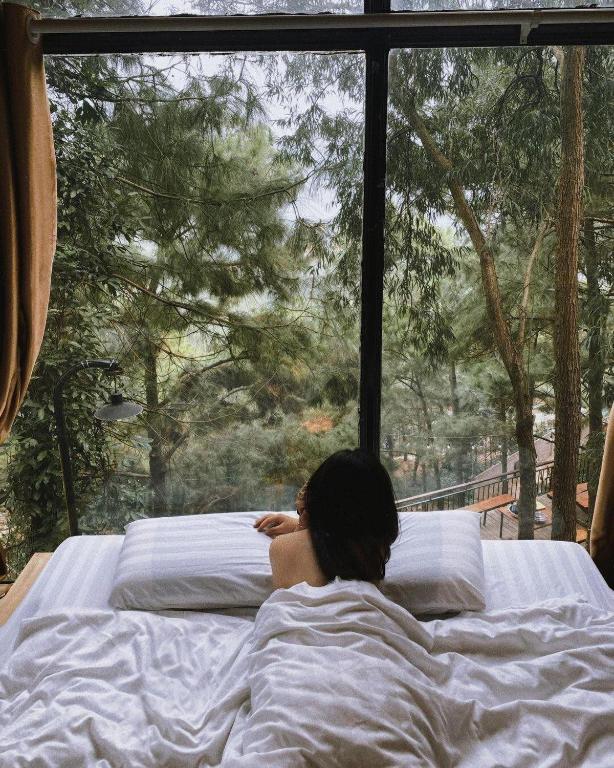 Nhà Gỗ Rừng Thông, Sóc Sơn