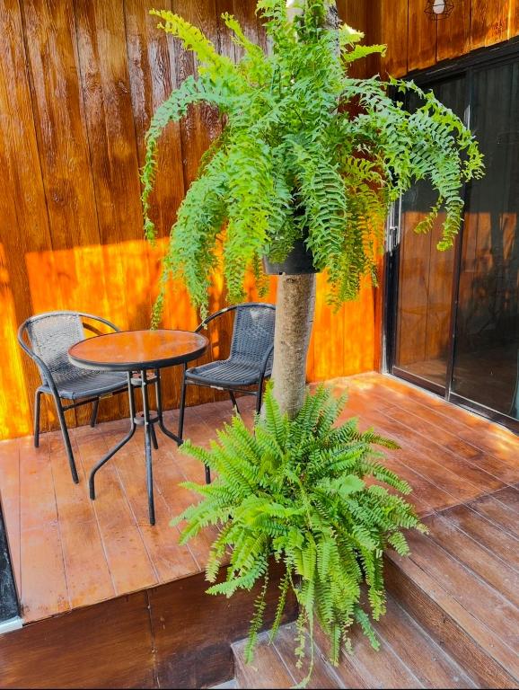 홈스테이 정원 야경