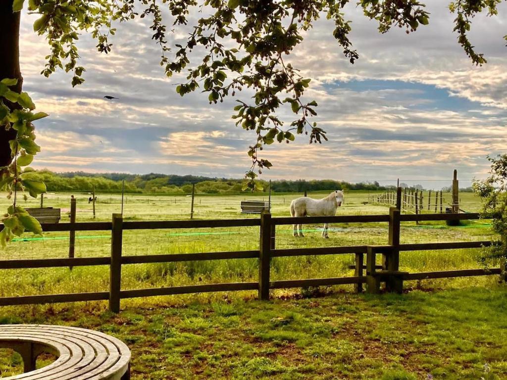 Nestled between Walberswick and Southwold, Blythburgh