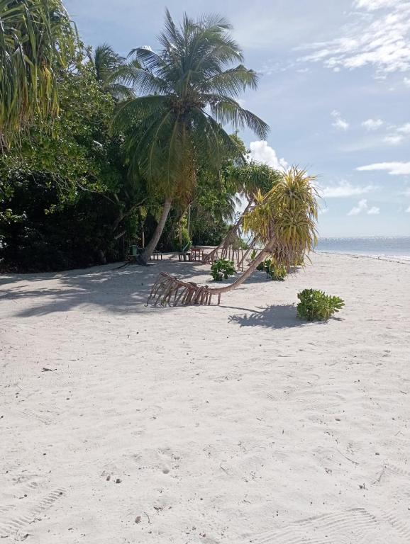 The Corbin, Fehendhoo