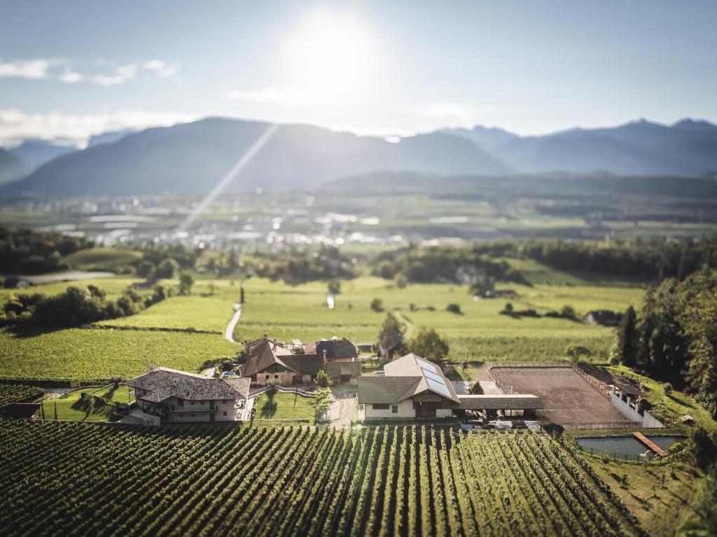 Nofnerhof, Appiano sulla Strada del Vino
