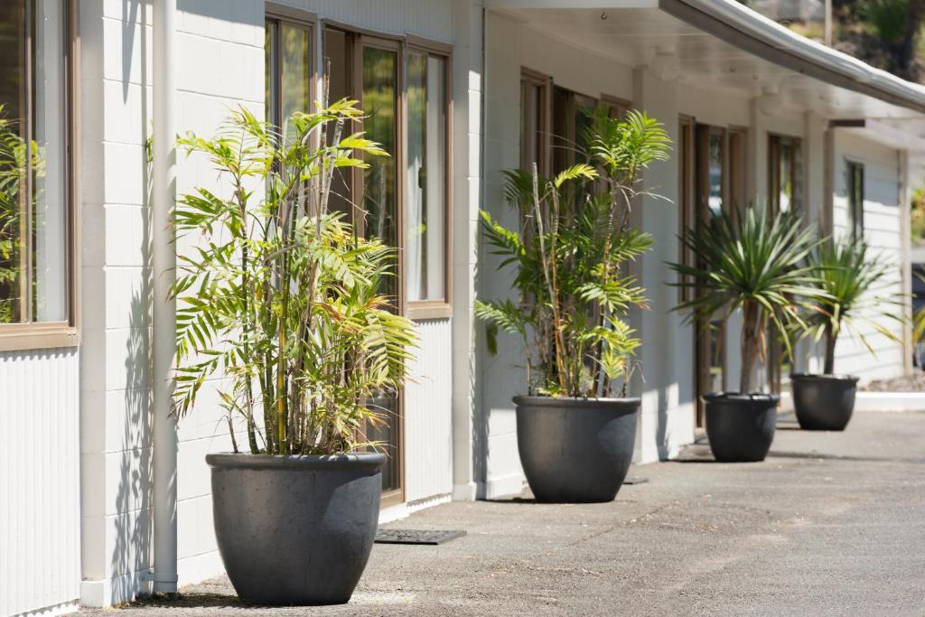 Aarangi Tui Motel