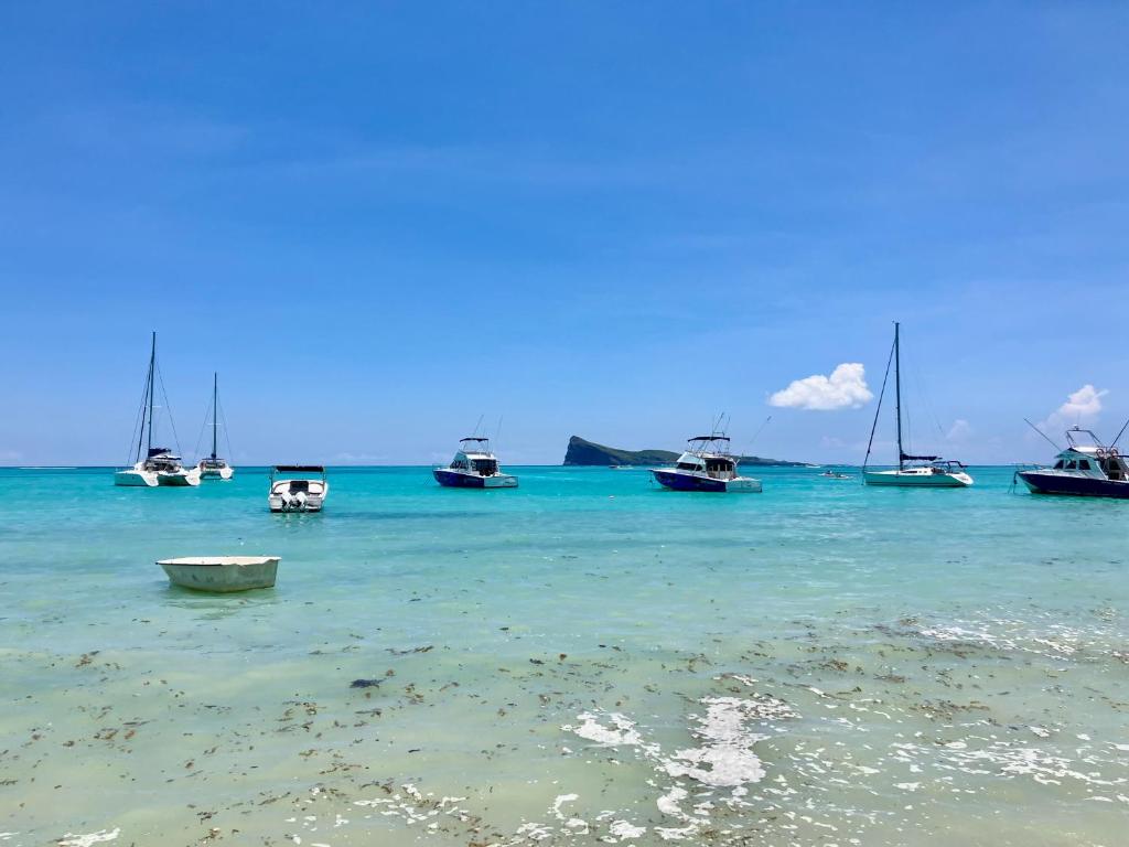 Penthouse Bain Bœuf vue mer, Bain Boeuf