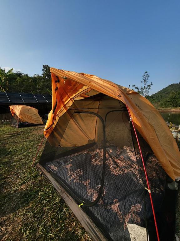 Rừng - The Cozy Place, Hai Ha