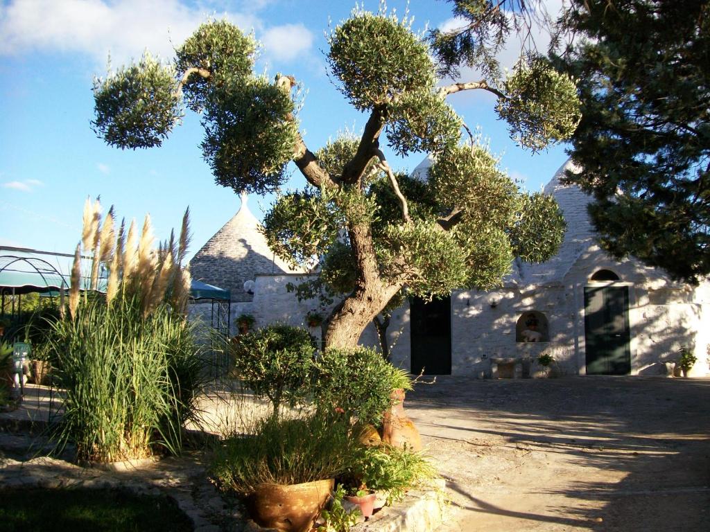 Agriturismo I Trulli Di Zio Dino photo