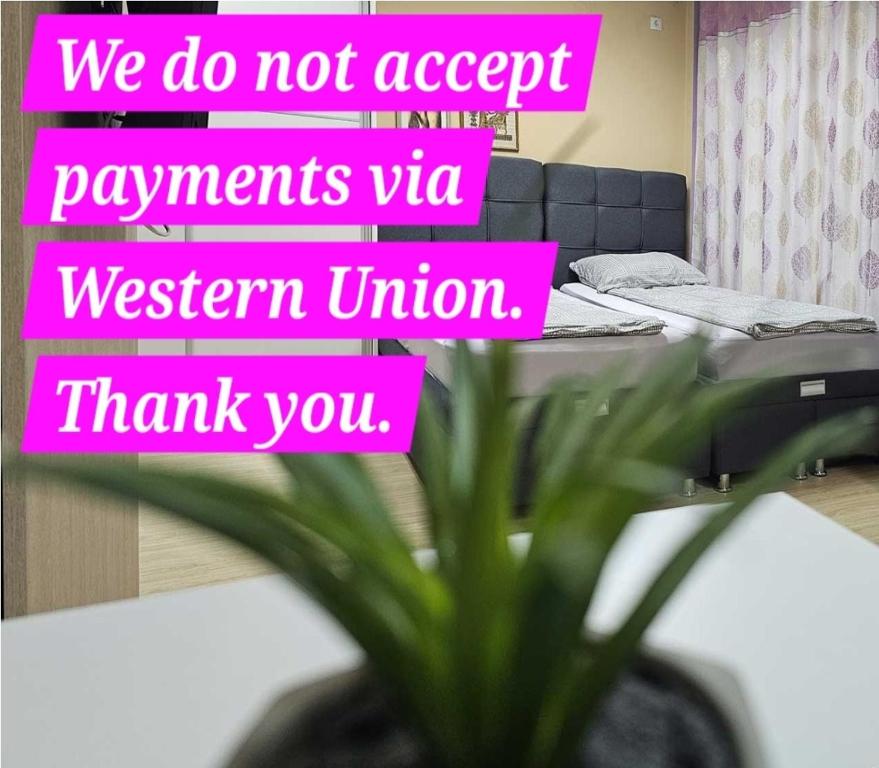 Apartman LENI2 u centru Zajecara, Zaječar