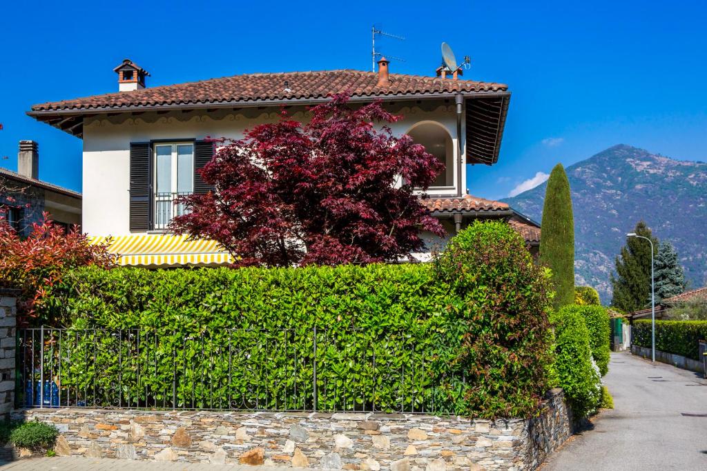Casa Andrea - 3