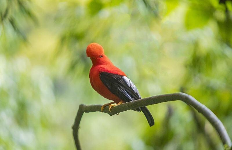 habitación campestre para pareja LAVANDA - 2