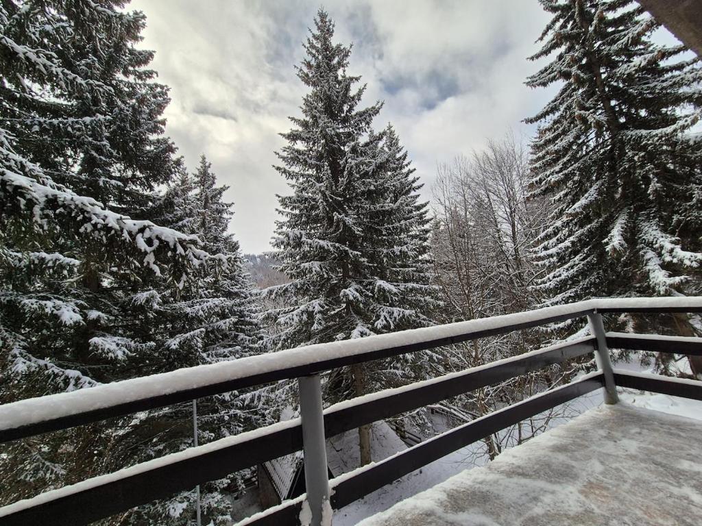 Mountain Nook - 2