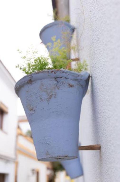 "Apartamento con Patio Andaluz junto a Catedral" - 3