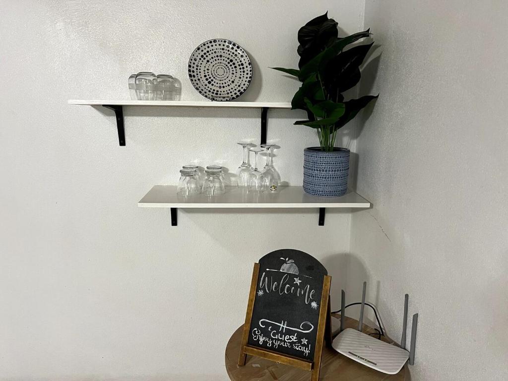 Tangerine Sunsets Winton Rose, Nassau