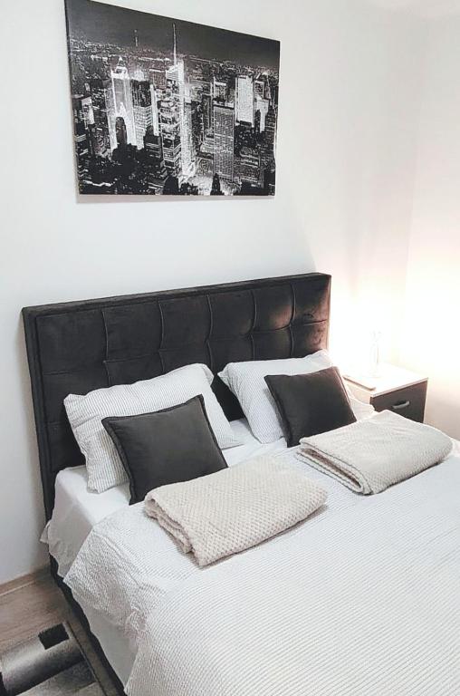 Apartman IRIS, Banja Koviljača