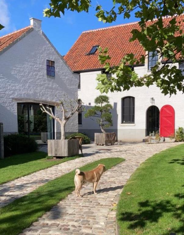 English Bob, Bierbeek