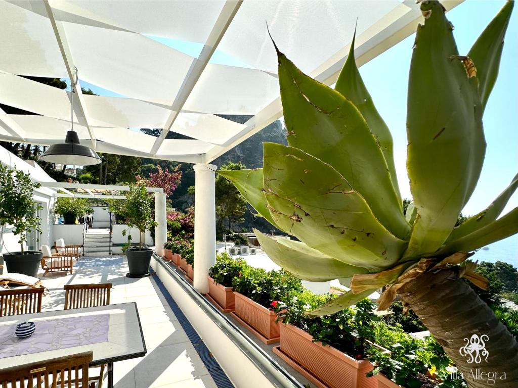 Villa Allegra - 2