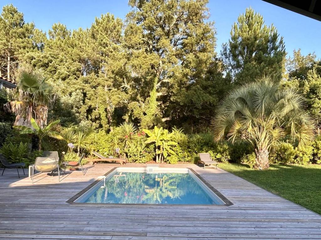 Villa avec piscine chauffée, jardin exotique, au calme proche plages et commerces, Capbreton - FR-1-791-17 - 1