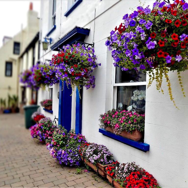 Bonjour Guest house, Alderney