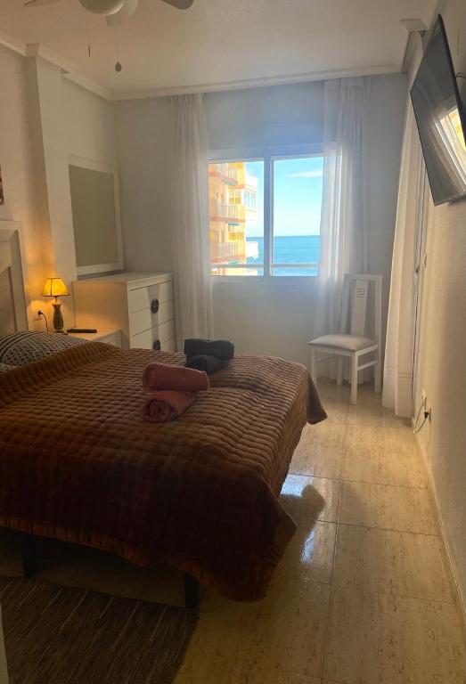 Goleta Beach Apartments Torrevieja - 3