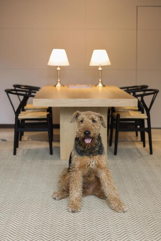 Hab306 zonaG by letoH - 4