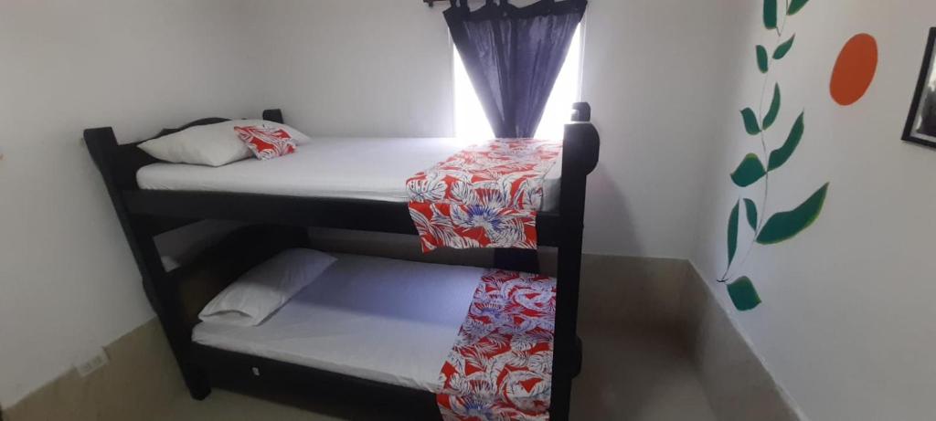 Caribe Sunshine Gold Hostel 1 habitacion - 4