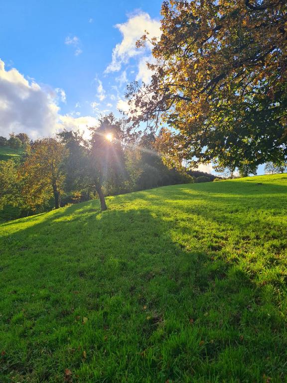 Rustic Barn Experience-Surrounded by Nature & Farm - 5