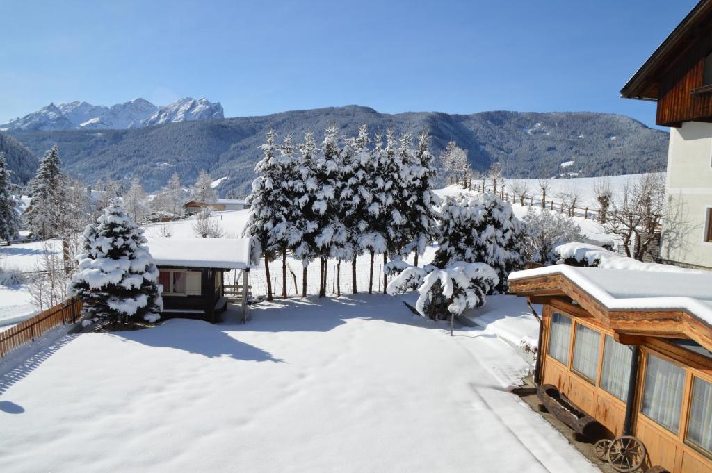 Hotel Chalet Olympia photo