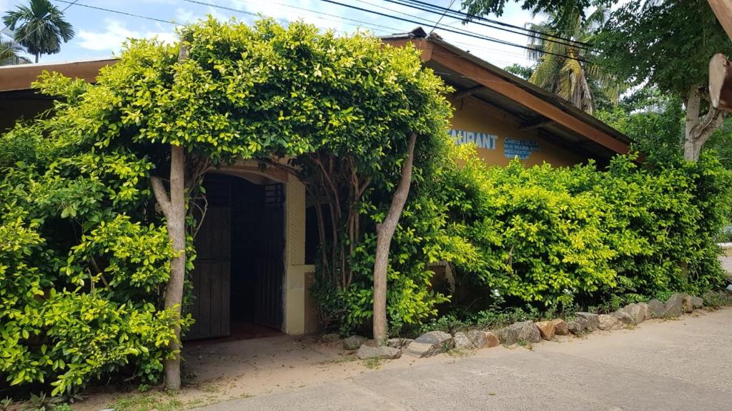 Kingfisher Guesthouse and Hostel, Tangalle