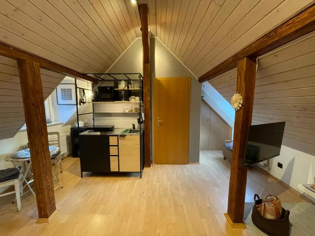 Modernes 1-Raum-Apartment, Hotel in Dresden